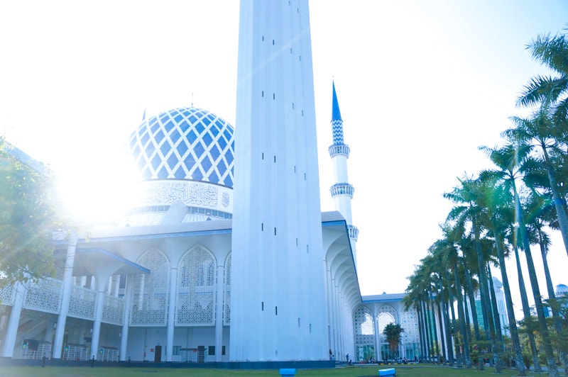 Blue mosque 2