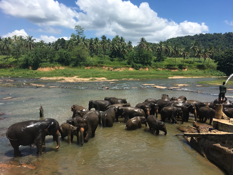 Srilanka kandy 28