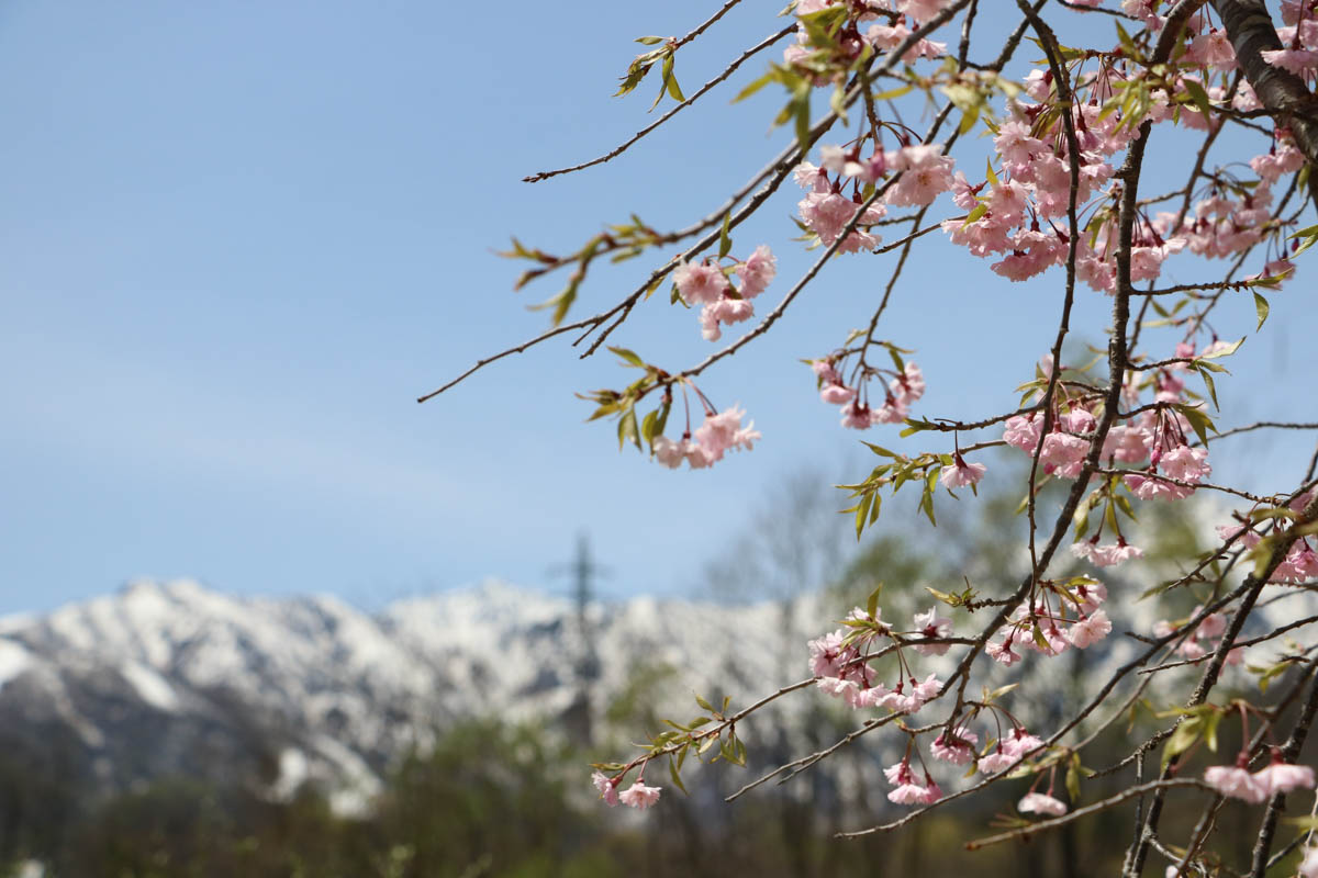 Norway village hakuba 20白馬の景色