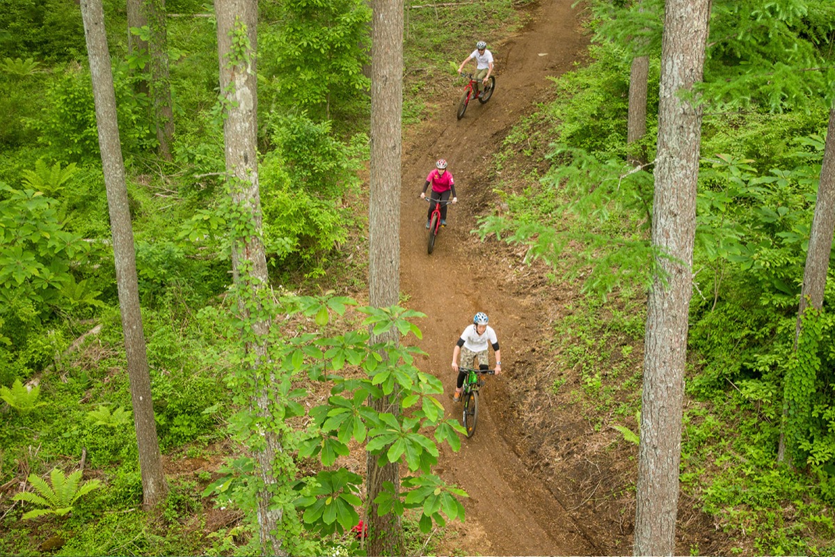 Trail adventure yokohama 24トレイル内